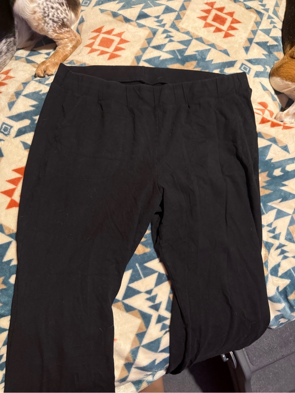 torrid Black Pull-On Bootcut Leggings